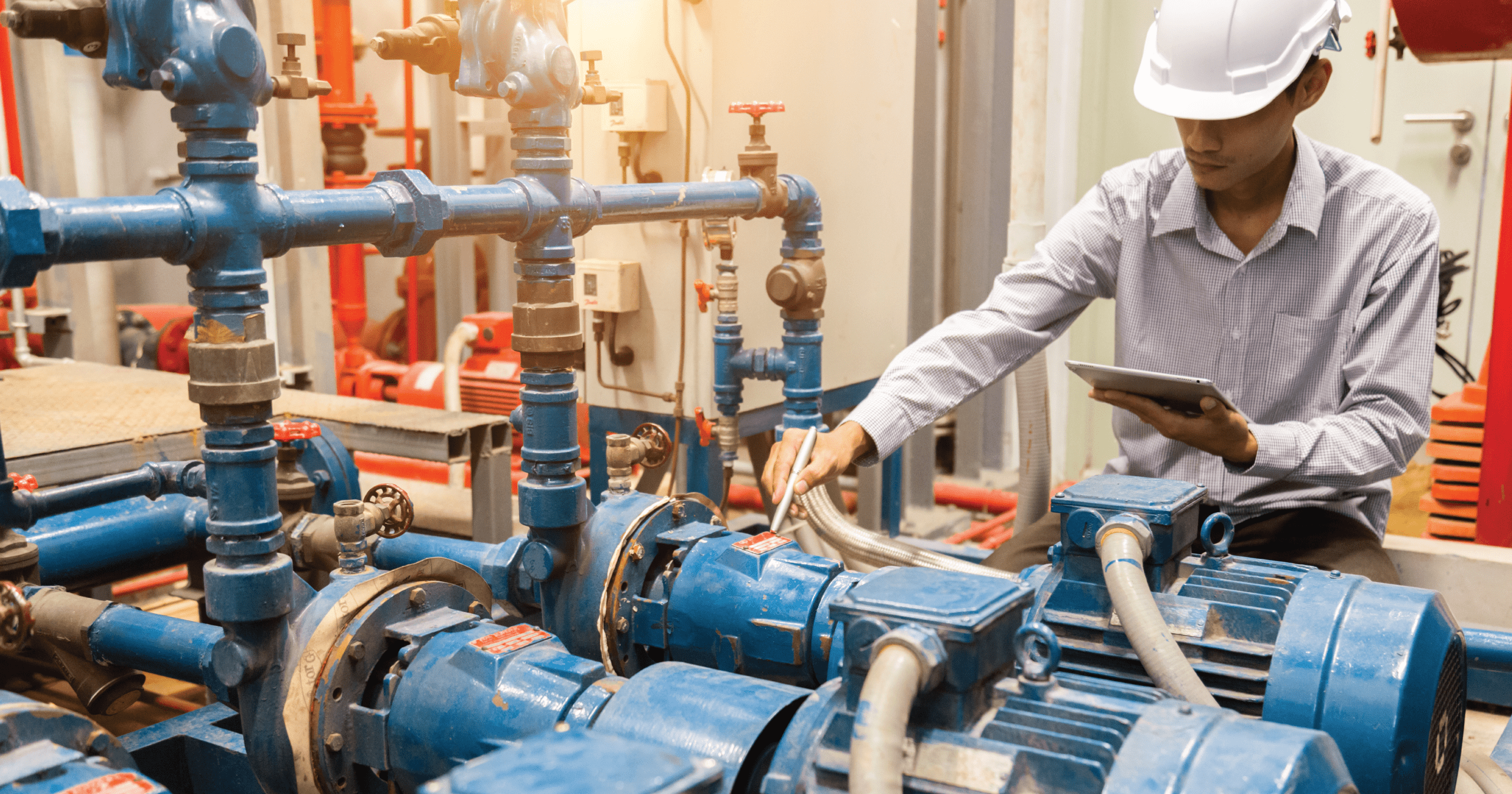 Shifting Gears: The Transition to Energy-Efficient Motors